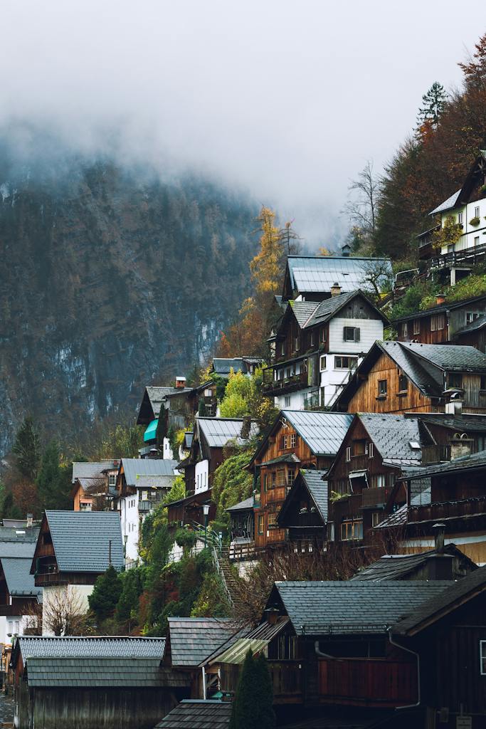 Brown and White Concrete Houses Near Green Trees