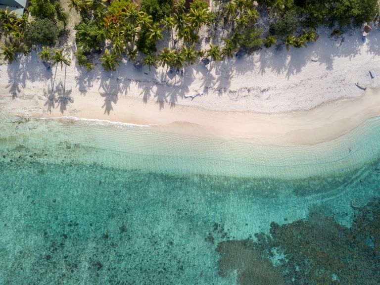 A stunning aerial view of a tropical beach in Fiji with clear turquoise water and lush palm trees, ideal for summer vibes.