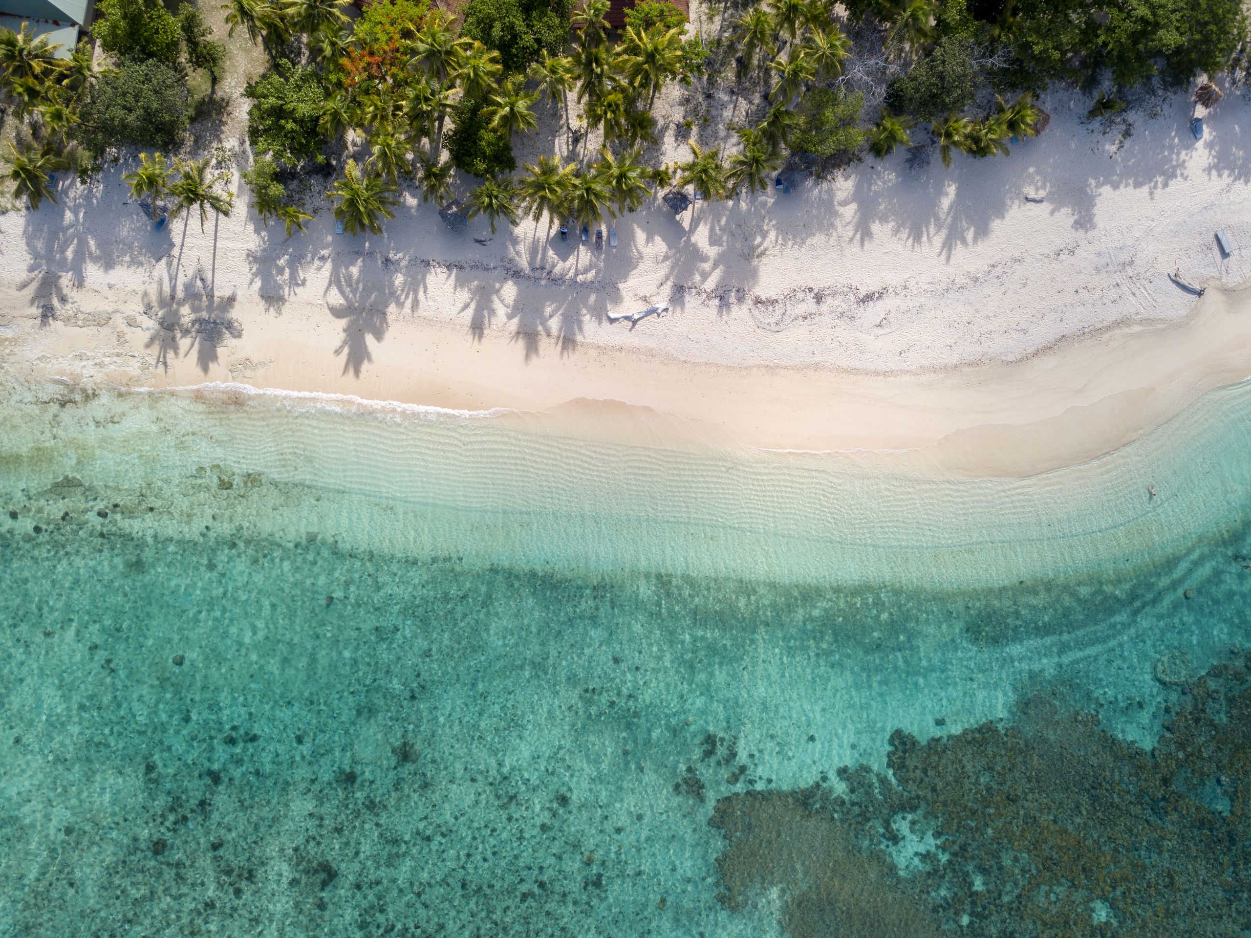 A stunning aerial view of a tropical beach in Fiji with clear turquoise water and lush palm trees, ideal for summer vibes.